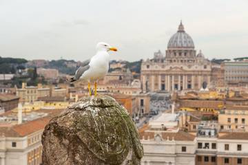 Rome city Vatican skyline view