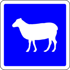 Sheeps allowed sign