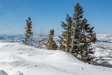 Looking out over a snow covered landscape on a sunny day, in Utah