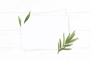 Flat lay top view elegant white composition paper nature tarragon leaf on wooden background