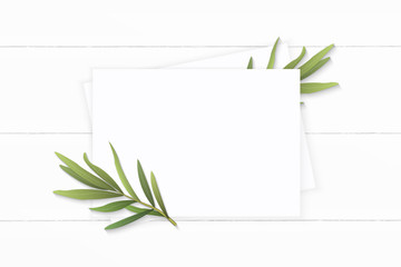 Flat lay top view elegant white composition paper tarragon plant leaf flower on wooden background