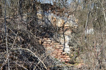 Fototapeta premium the remains of the old house