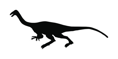Gallimimus vector silhouette isolated on white background. Anchisaurus Dinosaurs symbol. Jurassic era. Dino sign. Coelophysis shadow. Big lizard dragon.