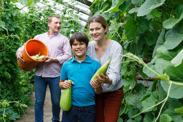 Happy family harvesting zucchini