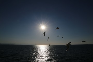 Sunset horizon sea water landscape. Sunset sea horizon panorama. Orange sunset sea horizon view at sunset 
