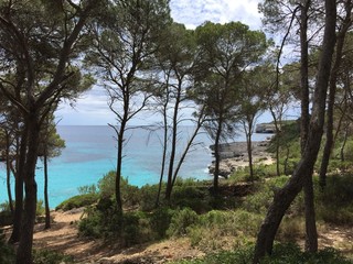 Obraz premium Mallorca Naturpark