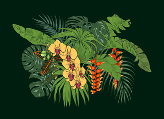 Tropical plants and flowers, palm and monstera leaves, Orchid and Heliconia flowers, vector illustration