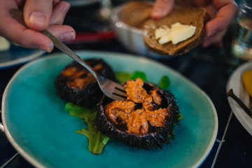 Sea urchin. Caviar. Seafood.