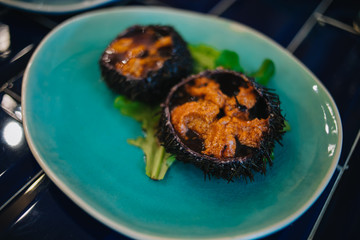 Sea urchin. Caviar. Seafood.