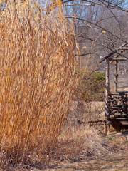 Aged and abandoned structure overgrown by decaying grass and weathered wheat on a bright clear sunny afternoon.