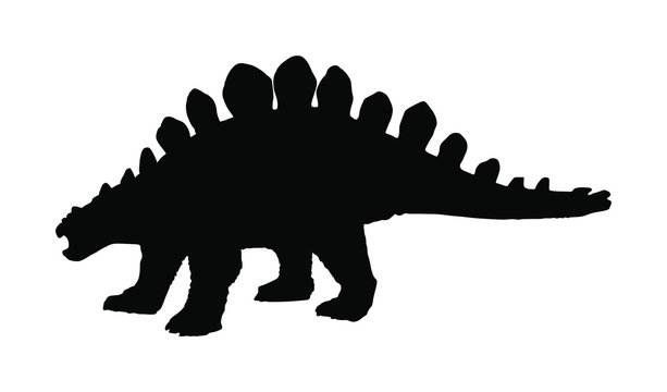 Vector silhouette of a stegosaurus dinosaurs.