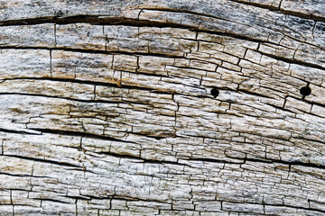 An old, cracked wooden surface with holes.