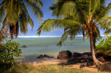 Two palm trees on each side frame a view of the ocean and a short beach with smooth sand and large...