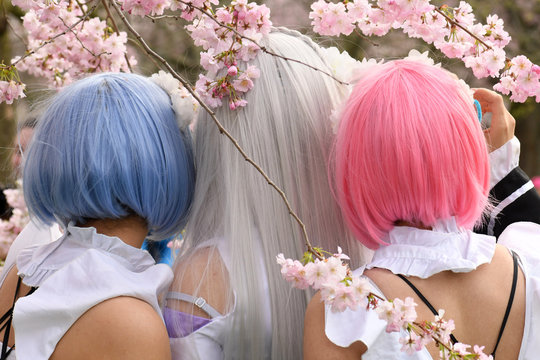 Cosplay Girls unter Kirschbl&uuml;ten