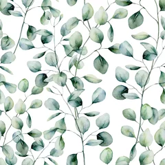 Deurstickers Aquarel bladerprint Aquarel zilveren dollar eucalyptus naadloze patroon. Handgeschilderde eucalyptus tak en bladeren geïsoleerd op een witte achtergrond. Floral illustratie voor ontwerp, print, stof of achtergrond.