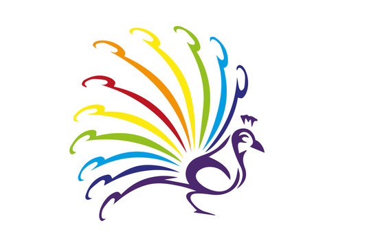 Colorful peacock isolated on white background. Vector violet Peafowl bird with feathers in rainbow colors. Wild bird logo. Peacock with colorful tail.
