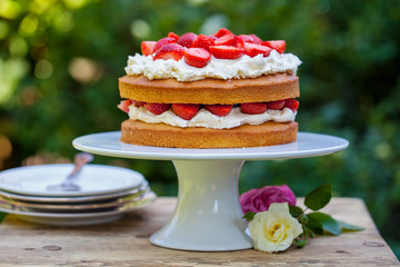 Summer berry cake