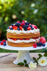 Summer berry cake