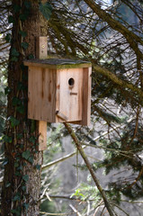 Nistkasten im Wald