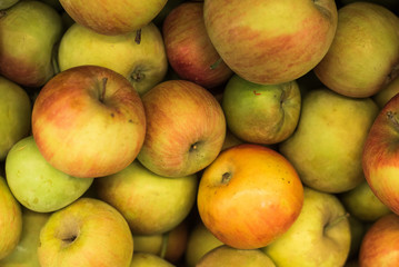 A large number of apples in the supermarket. Many green apples in a palette