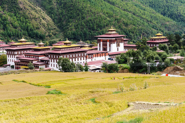 Fototapeta na wymiar Tashichho Dzong, also known as Dzong of Thimphu, in Thimphu the capital of Bhutan. Paddy test area in the foreground.