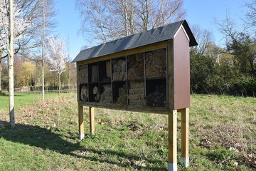 Dom do insektow © Iwona