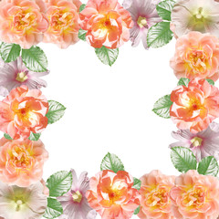 Beautiful floral background of mallow and roses. Isolated 
