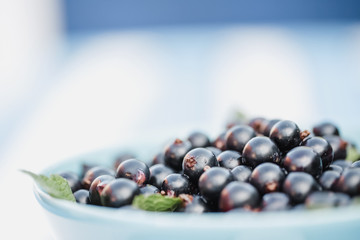 Black currant close up in a blue bowl with copy space.