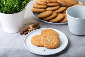Oatmeal cookies with raisins. Homemade baking. Selective focus, close-up.