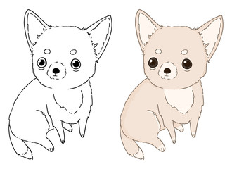 Decorative portrait of sitting Dog Chihuahua, vector isolated illustration on white background. Image for design and coloring book for children.