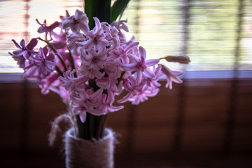 Pink hyacinth flower in homemade vase on wooden table