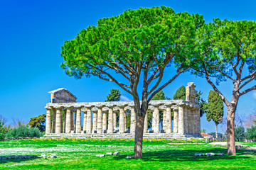 Fototapeta na wymiar Temple of Athena, Paestum, Italy