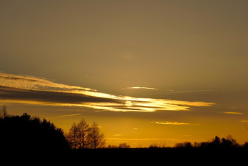 sunset over the forest