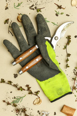 Basic gardening set. Tree pruning scissors and glows with twigs and dirt around