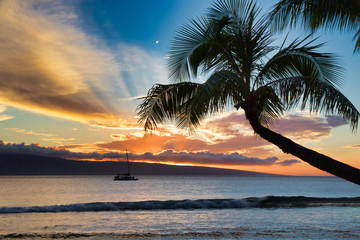 Maui Sunset View
