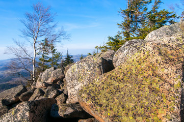 Rhizocarpon geographicum (map lichen) growing on the rock