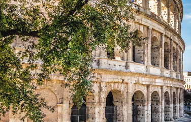 Obraz premium The Colosseum, Rome, Italy