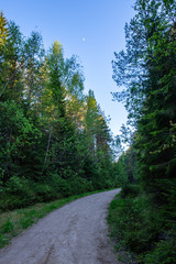 empty gravel road in autumn