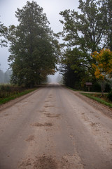 Fototapeta na wymiar empty gravel road in autumn