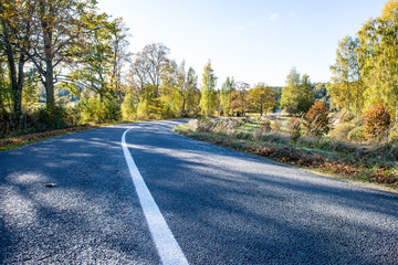 Fototapeta premium empty gravel road in autumn