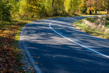 empty gravel road in autumn