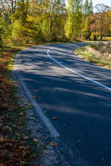 empty gravel road in autumn