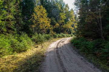 Fototapeta na wymiar empty gravel road in autumn