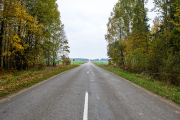 empty gravel road in autumn