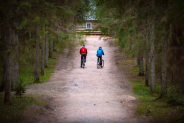 Beautiful sand forest path with two cyclists