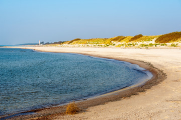 calm sea beach in summer with large rocks and wooden poles from old breakewater in the sea