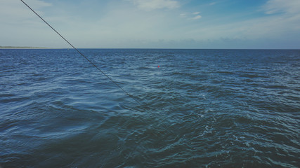 Minimalismus in der Natur