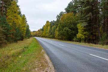 empty asphalt road in autumn