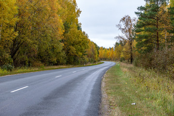 Fototapeta na wymiar empty asphalt road in autumn