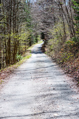 empty asphalt road in autumn